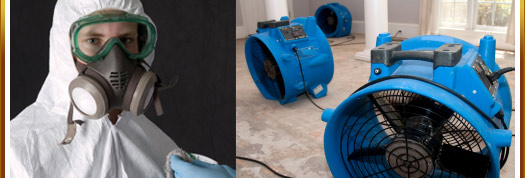 Equipment Rental and Sales Graphic