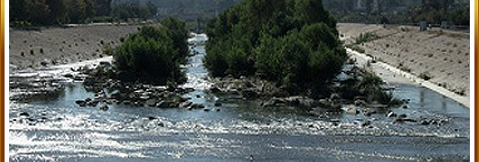 Wetlands Restoration Graphic